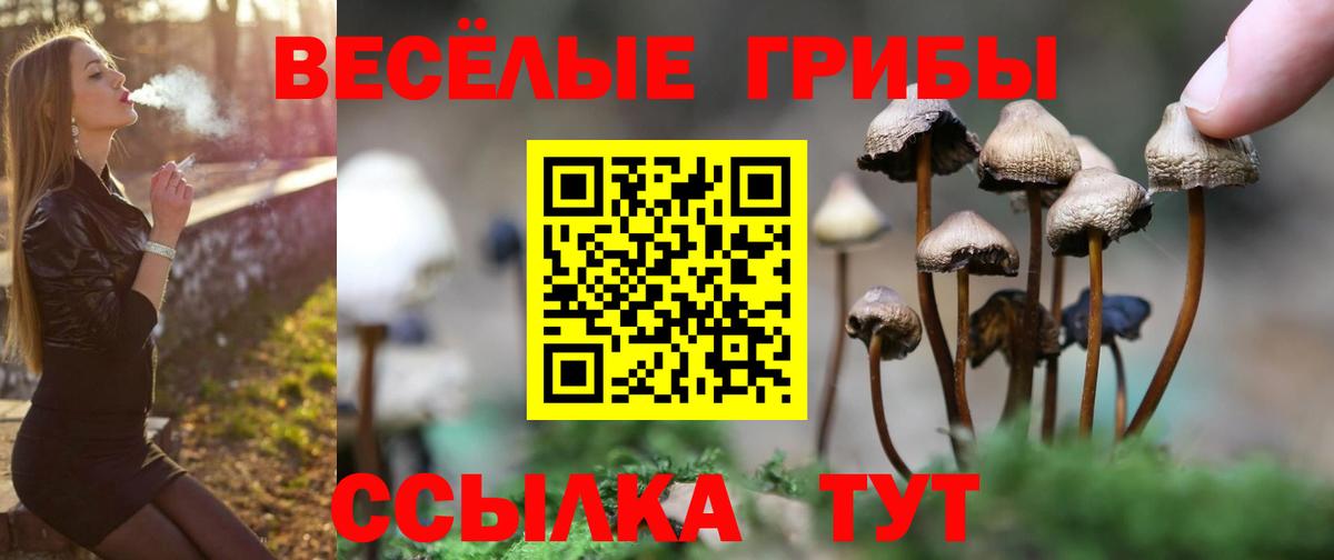 Чебоксары  Псилоцибиновые грибы ЛСД  Вход с VPN 